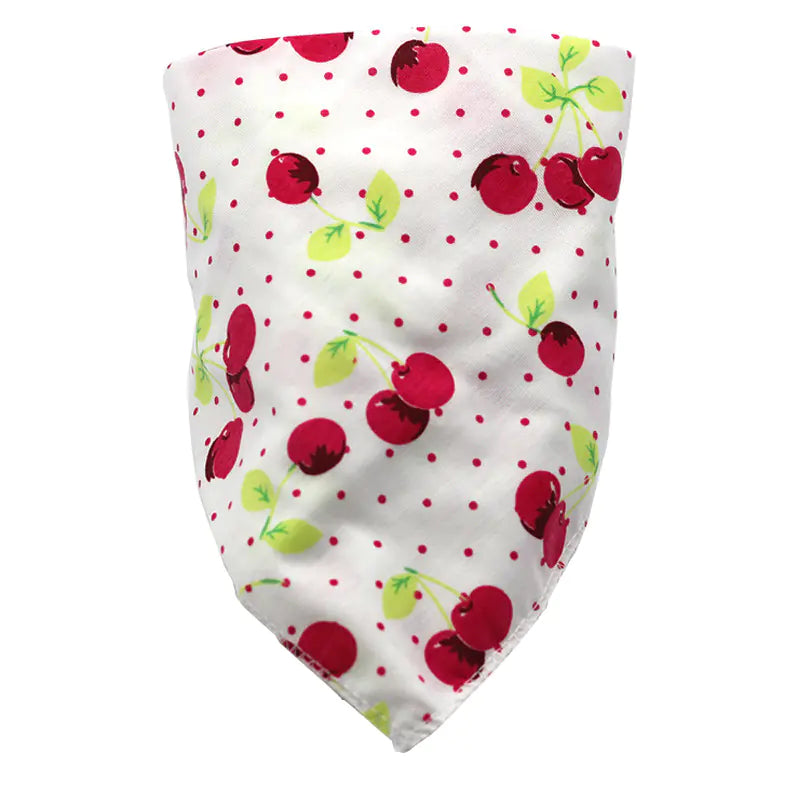 Baby Bibs and Triangle Cloths for Infants (Set)
