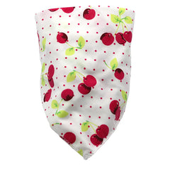 Baby Bibs and Triangle Cloths for Infants (Set)