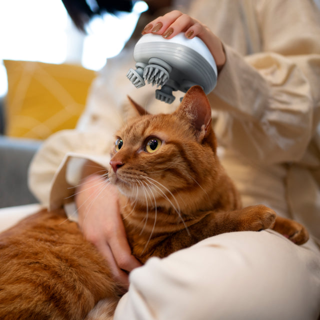 Electric Cat Massager